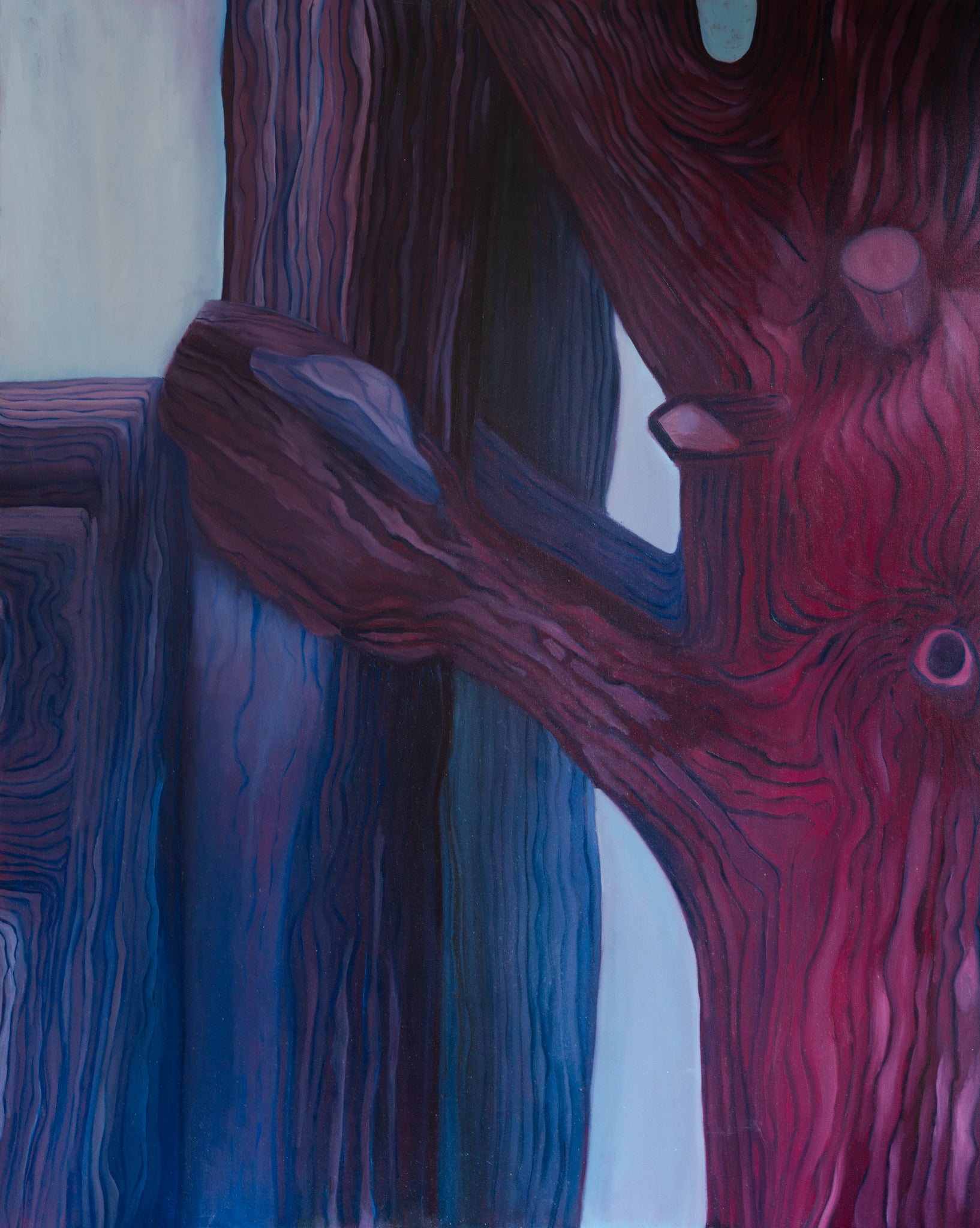 Trees Talk to Each Other