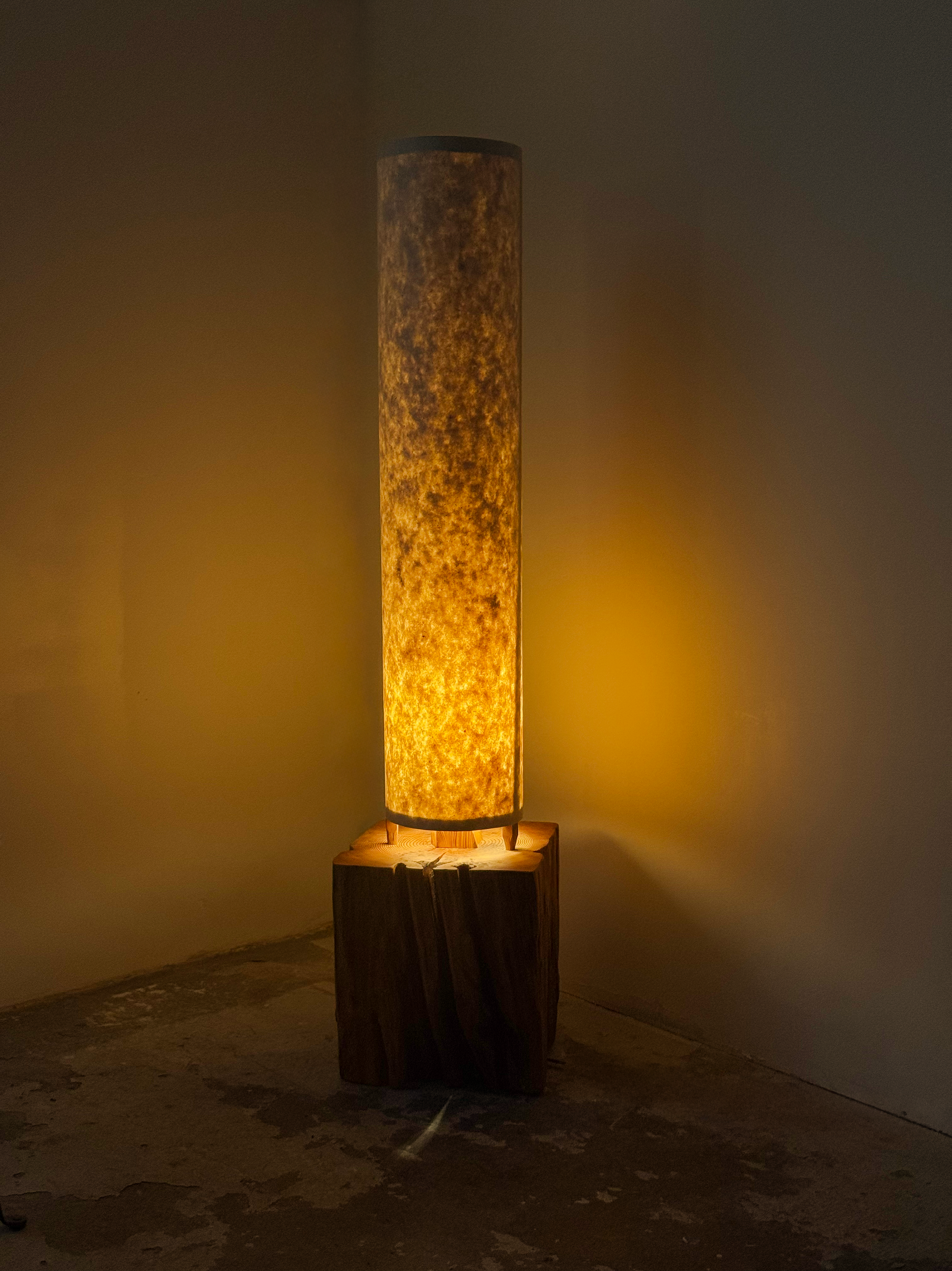 Moon Floor Lamp