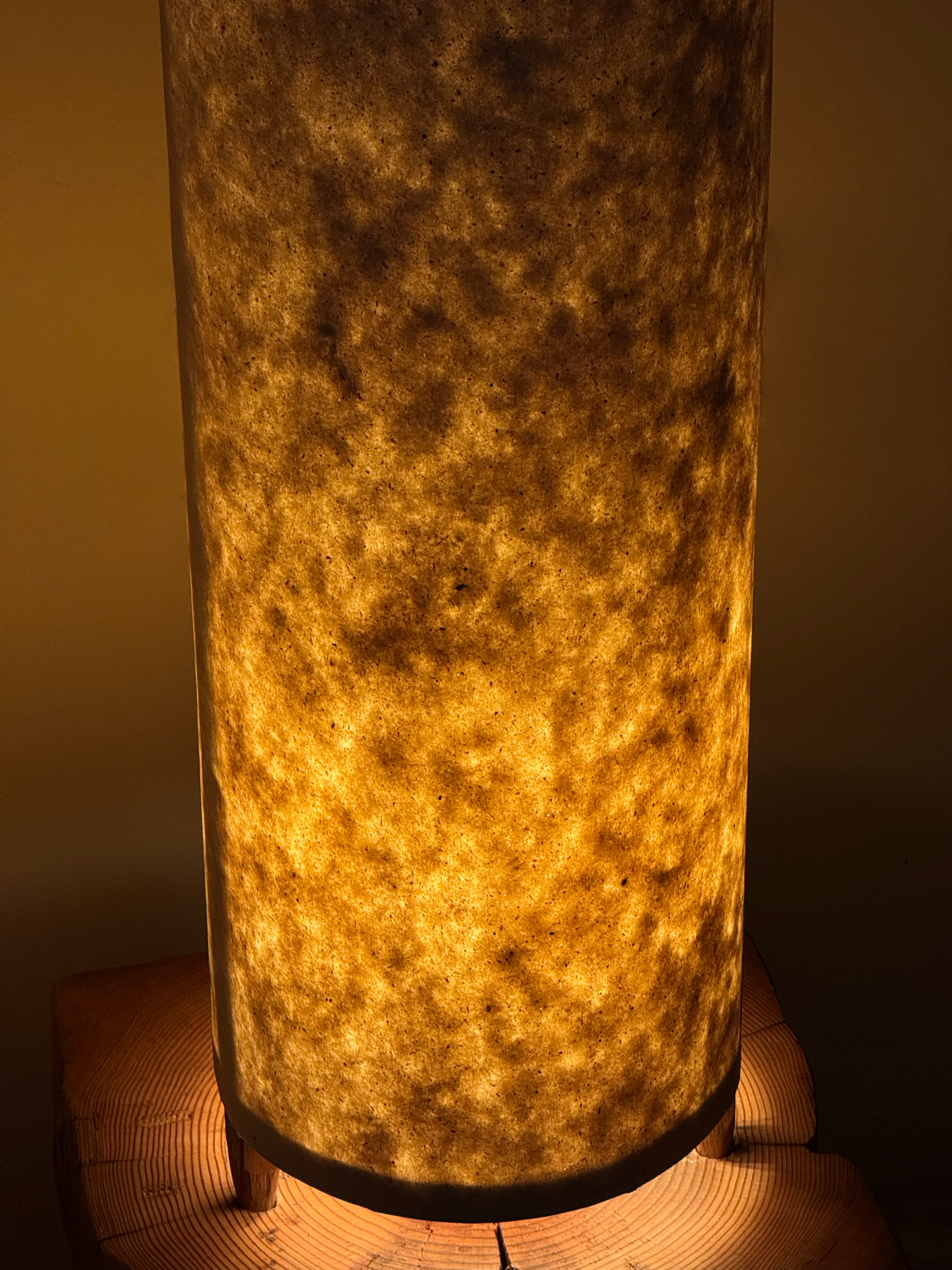 Moon Floor Lamp